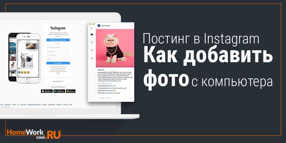 Проекты для новичков на c